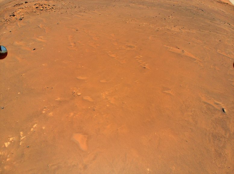Imagen colorida del quinto vuelo del helicóptero de Marte