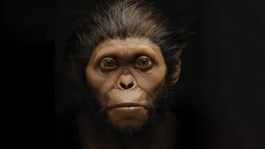 ¿Cómo pueden los científicos conocer mejor a nuestros parientes extintos?