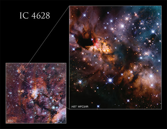 La Nebulosa del Camarón se encuentra al sur de la estrella Escorpio en la constelación de Escorpio.  Créditos de imagen: NASA / ESA / Hubble / J. Tan, Chalmers University of Technology / ESO / Gladis Cooper, NASA y The Catholic University of America.