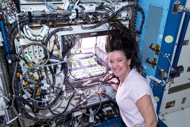 La astronauta de la NASA Megan MacArthur inspecciona las plantas de incubación de Chile.  (Imagen: NASA)