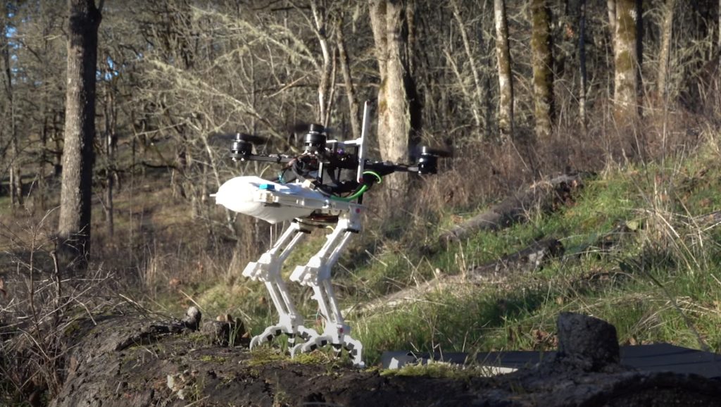 SNAG bird-like robot