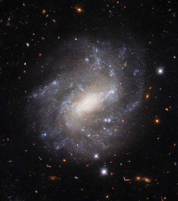 This Hubble image shows UGC 9391, a spiral galaxy some 120 million light-years away in the constellation Draco. Image credit: NASA / ESA / Hubble / Riess et al.