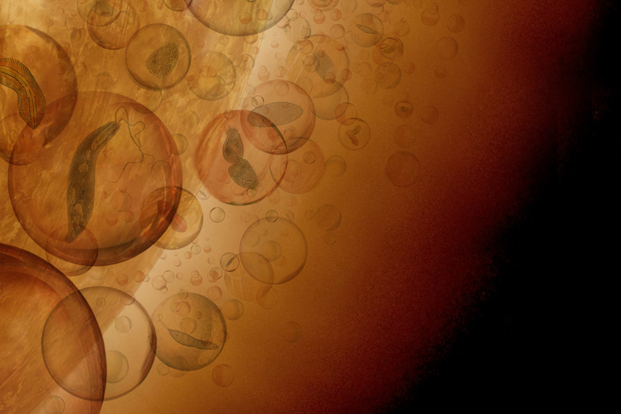 Estos investigadores del Instituto de Tecnología de Massachusetts dicen que ya se descubrió vida en Venus